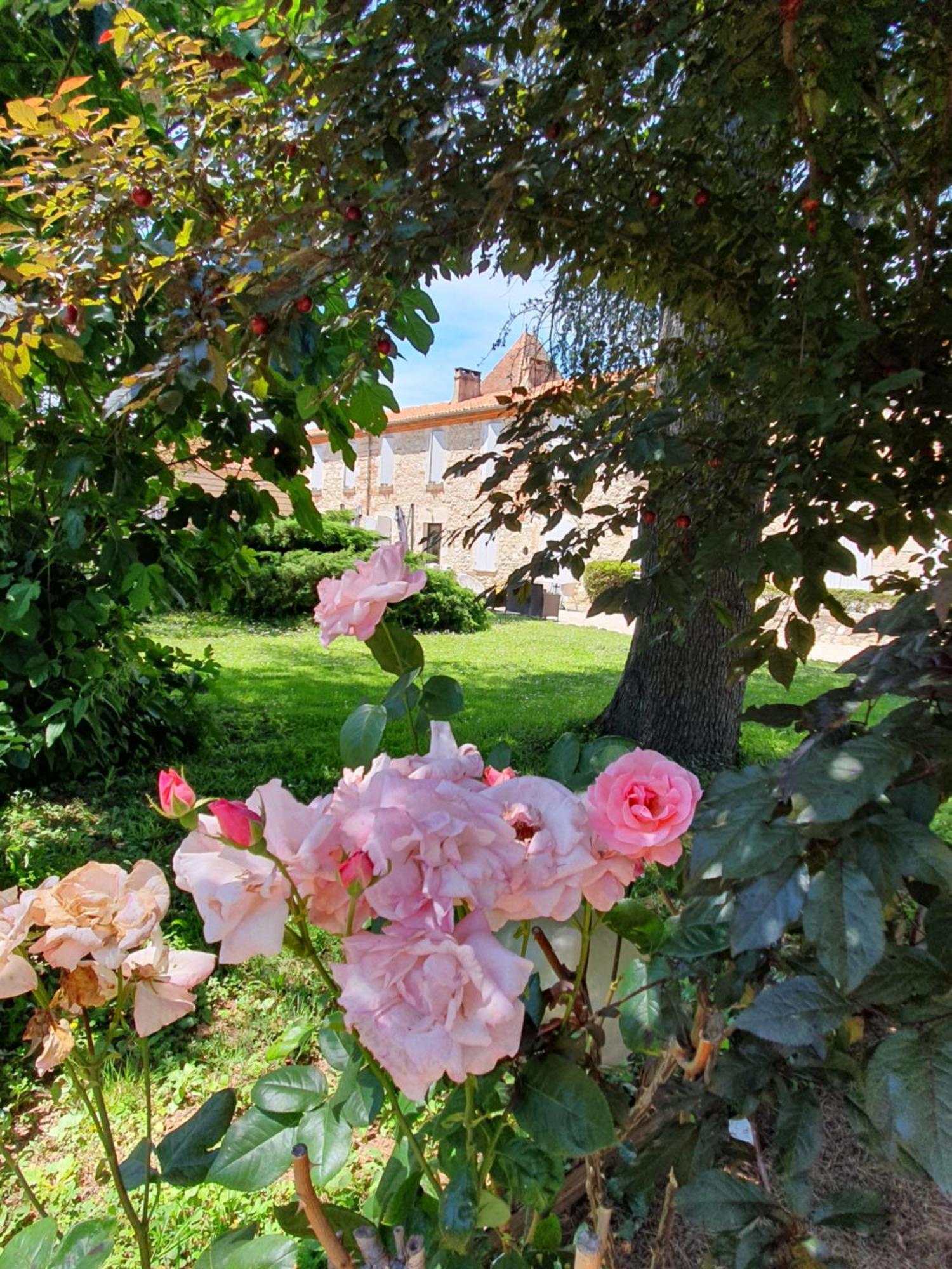 Logis Hotel Le Prince Noir Sérignac-sur-Garonne Eksteriør bilde